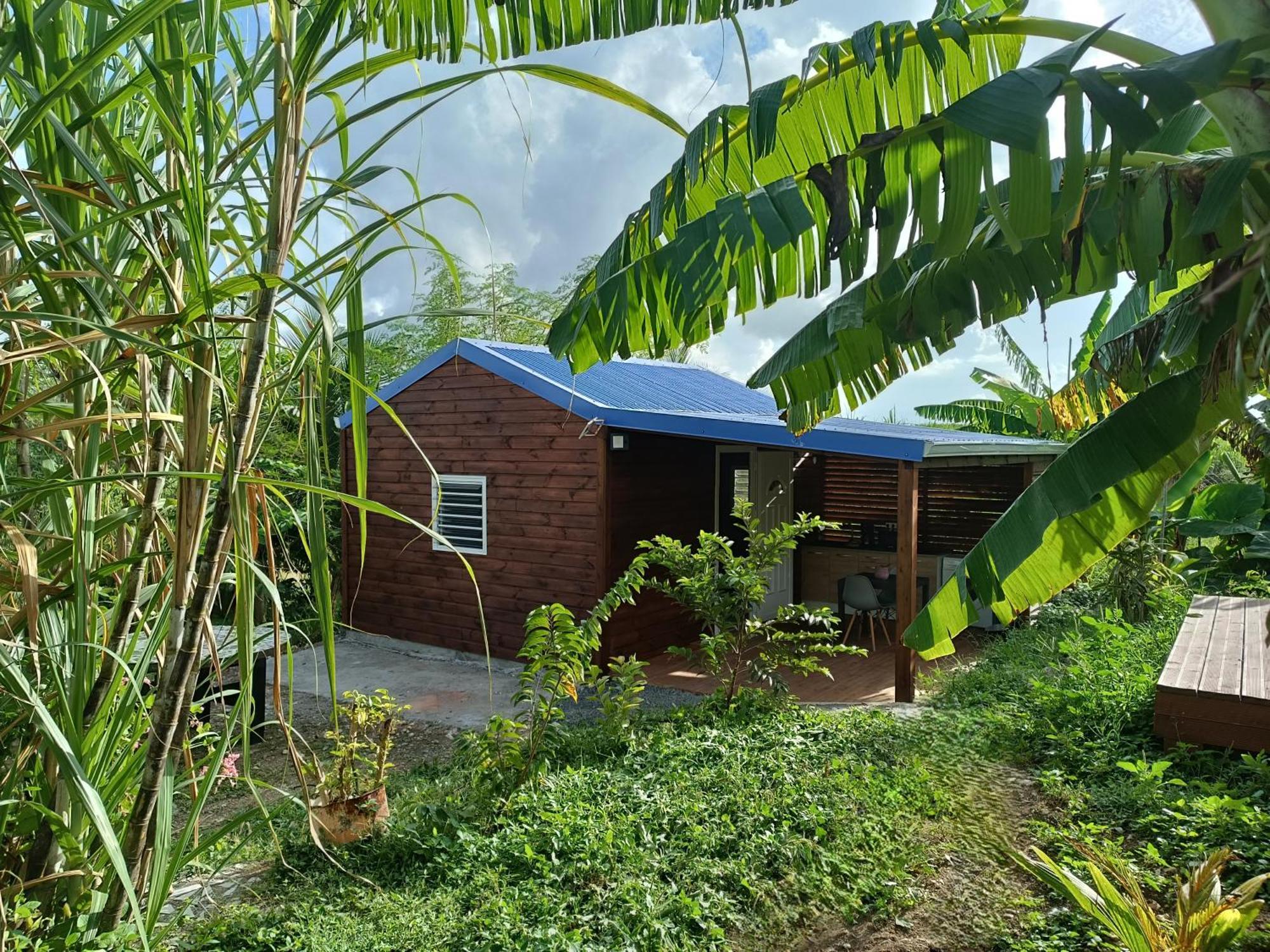 Le Paradis Des Colibris Villa Anse-Bertrand Exterior photo